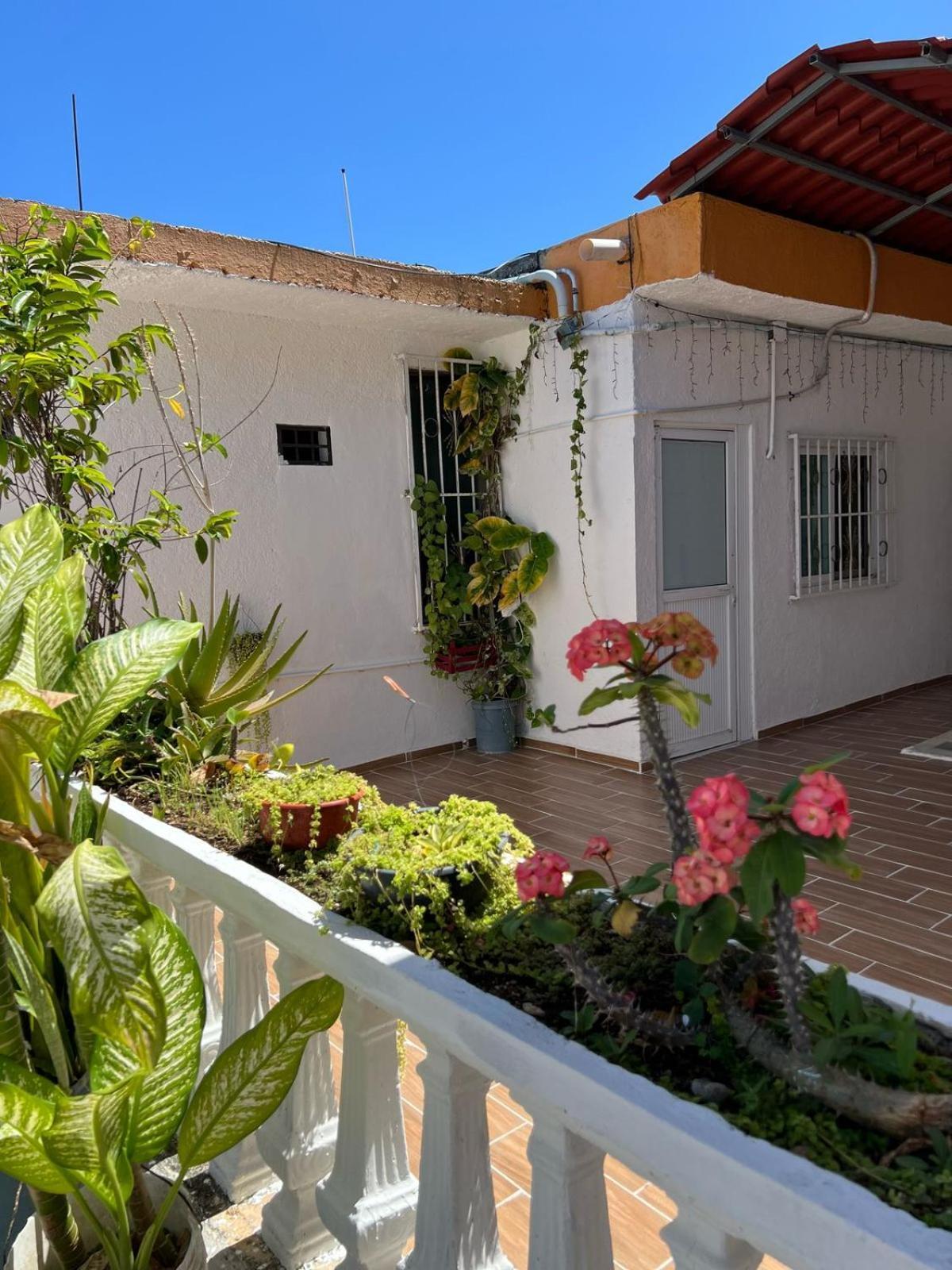 Alojamiento En La Calle 56 Playa Del Carmen Zewnętrze zdjęcie